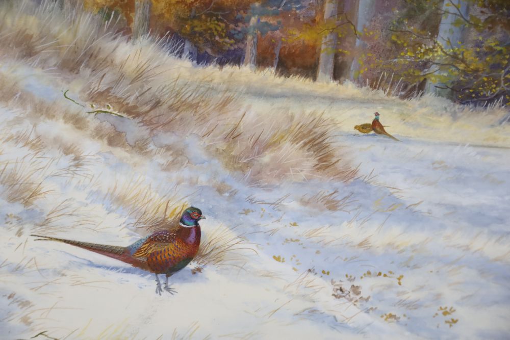 Philip Rickman (1891-1982), watercolour, Pheasant in winter, signed and dated 1975, 28 x 38cm